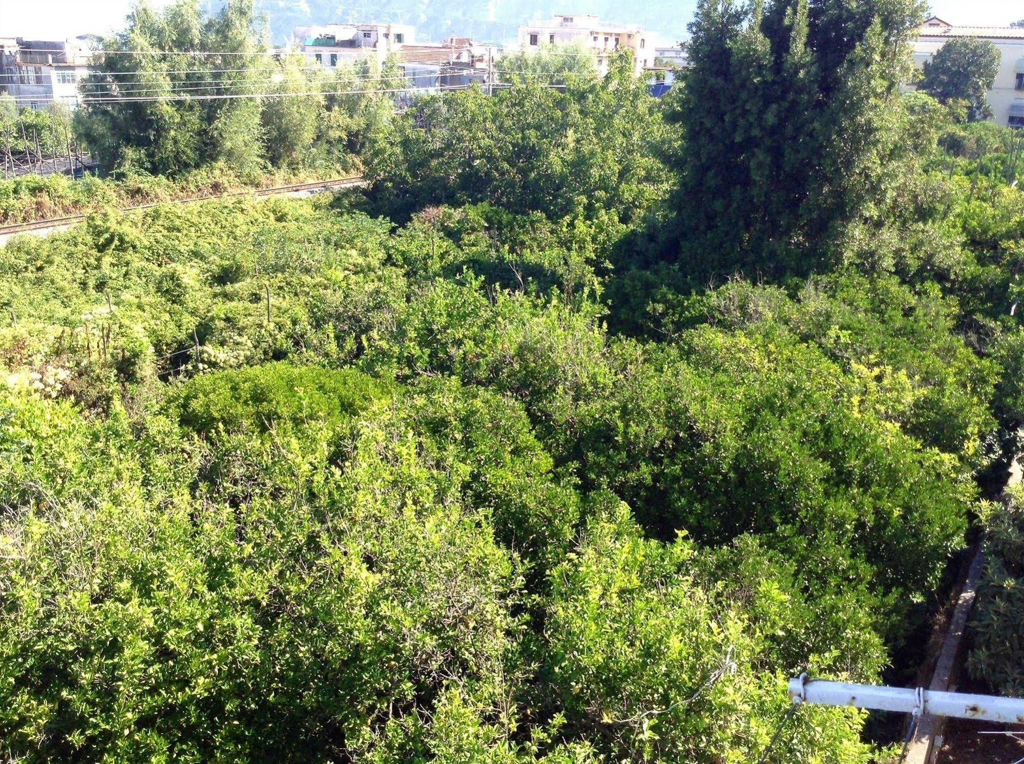 B&B Casa Vienna Sant'Agnello Εξωτερικό φωτογραφία